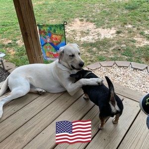 Meet your Posher, Doug